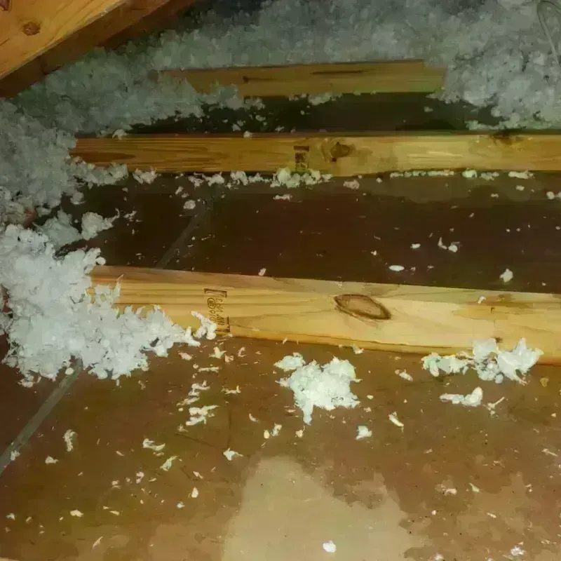 Attic Water Damage in West Puente Valley, CA